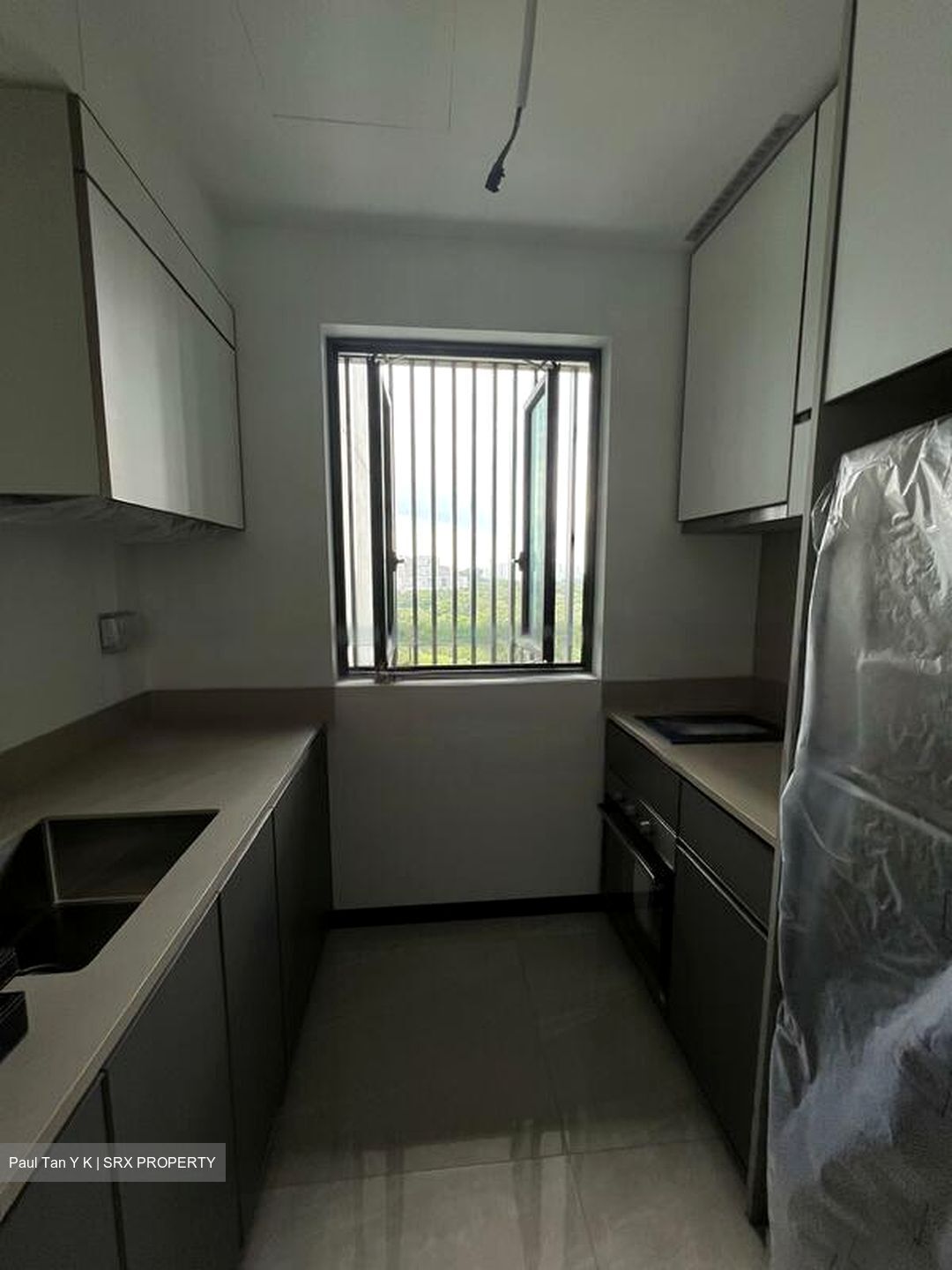 Normanton Park (D5), Apartment #474058481